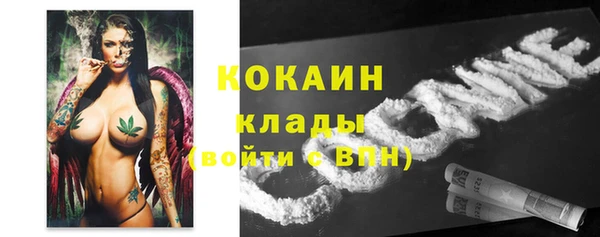 молекула духа Алексеевка