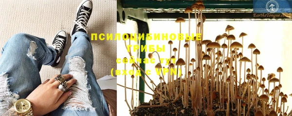 молекула духа Алексеевка