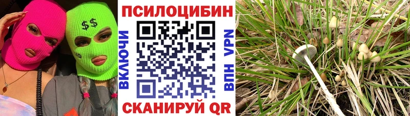 Псилоцибиновые грибы GOLDEN TEACHER  продажа наркотиков  Бикин 